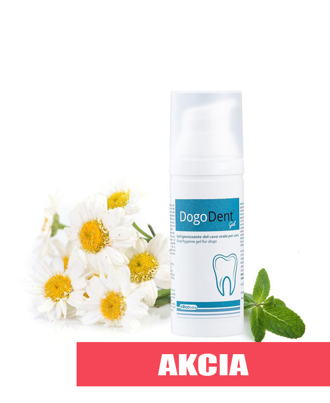 1750099654DogoDent Gel.jpg